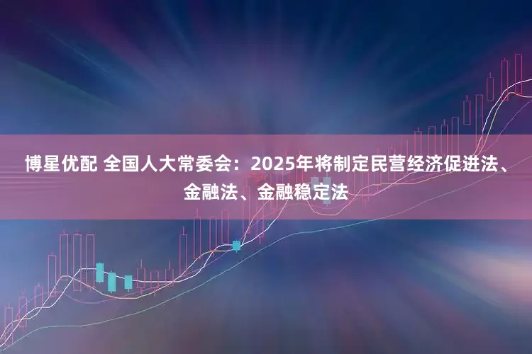 博星优配 全国人大常委会：2025年将制定民营经济促进法、金融法、金融稳定法