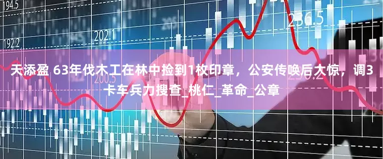 天添盈 63年伐木工在林中捡到1枚印章，公安传唤后大惊，调3卡车兵力搜查_桃仁_革命_公章