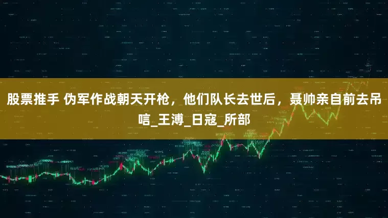股票推手 伪军作战朝天开枪，他们队长去世后，聂帅亲自前去吊唁_王溥_日寇_所部