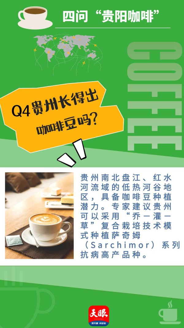 可盈配资 贵州长得出咖啡豆吗？｜“贵阳咖啡”四问④